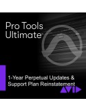 PROTOOLS Ultimate 1-Year Perpetual License Upd Plan Reinstatement
Download Version