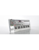 MICROKORG CR Crystal