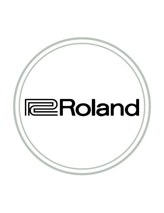 ROLAND PROFESSIONAL A/V